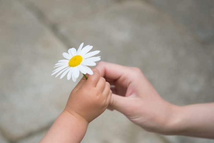 Resultado de imagen de imagenes besos y abrazos hijos
