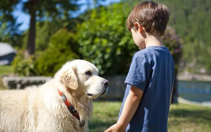 Perros para niños con autismo