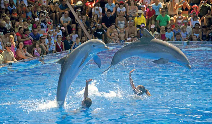 Marineland Mallorca