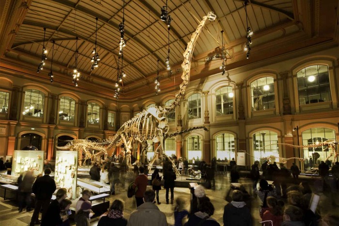 Museo de Historia Natural de Berlín