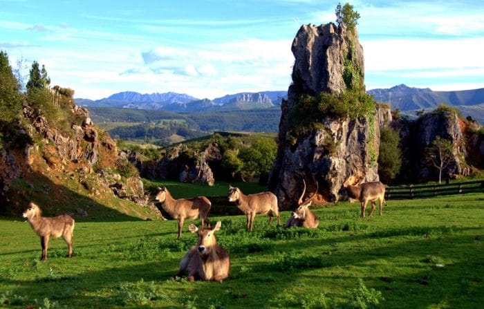 Parque de la Naturaleza de Cabárceno, en Obregón, Cantabria