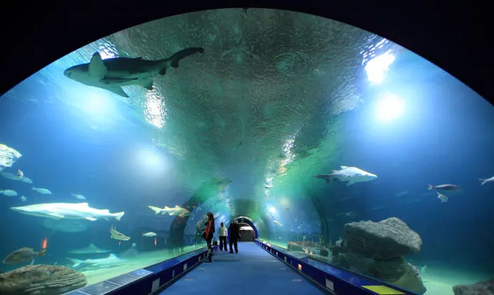 Acuario Oceanografic de Valencia