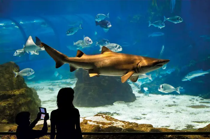 Aquarium Barcelona