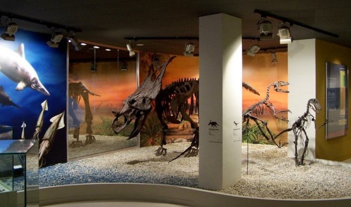 Dinosaurios Museo Paleontológico de Elche, España