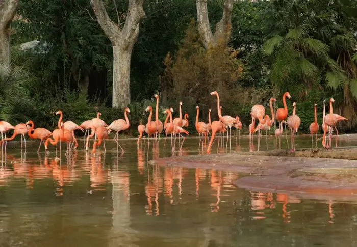 Parque Zoológico de Barcelona