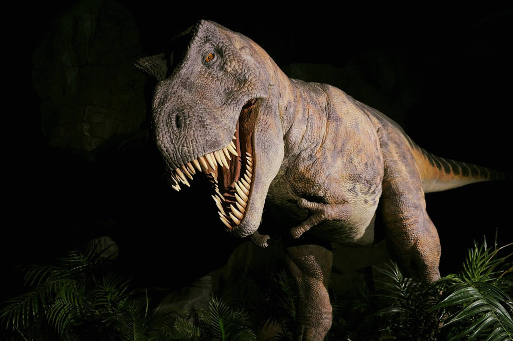 Ver dinosaurios en España