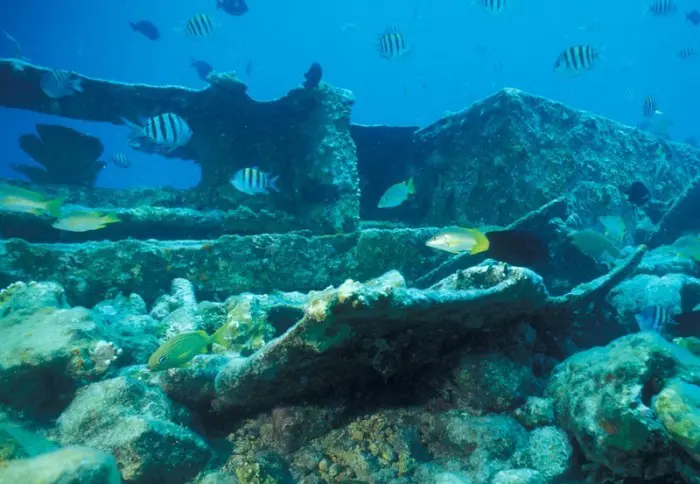 Biscayne National Park en Miami