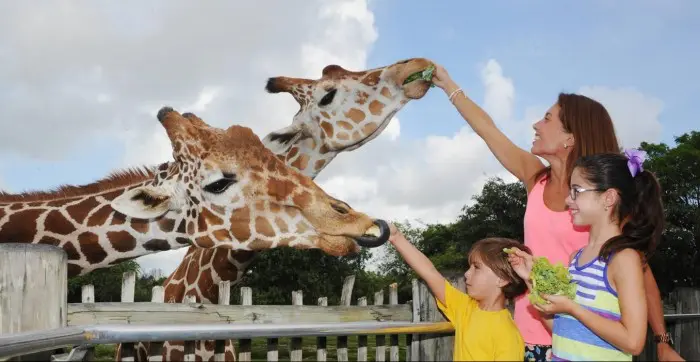 Miami MetroZoo