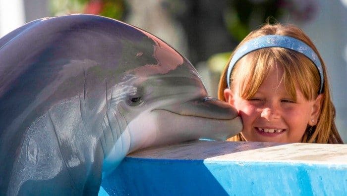 Miami Seaquarium