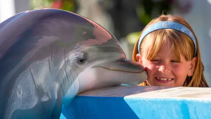 Vacaciones con niños en Miami: ¿A dónde ir?