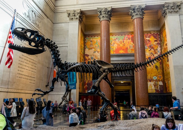 Museo Americano de Historia Natural, en Nueva York Museo Americano de Historia Natural, en Nueva York