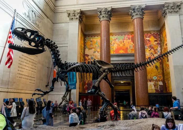 Museo Americano de Historia Natural, en Nueva York