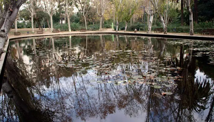 Estanque en Turó Park, Barcelona
