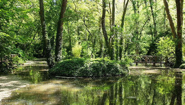 Lago de los Patos en el Monasterio de Piedra