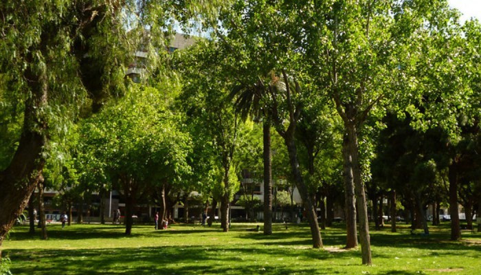 Pradera verde en Turó Park