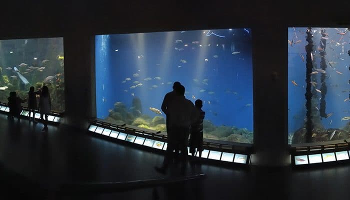 Aquarium Finisterrae, en A Coruña, Galicia