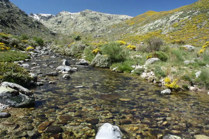 Escapada rural con niños a la Sierra de Gredos