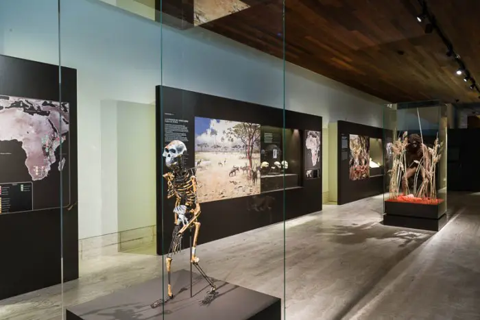 Exposición "Paisajes y sociedades de la Prehistoria reciente" en Museo Arqueológico Nacional