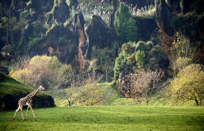 Parque de la Naturaleza de Cabárceno, en Cantabria