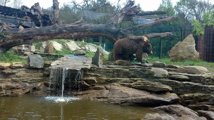 Parque Zoológico Marcelle Natureza, en Lugo, Galicia