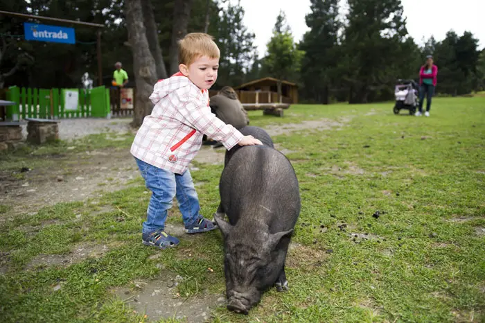 Parque de Animales de Naturlandia, en Andorra