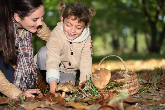 Excursión con niños para recoger setas