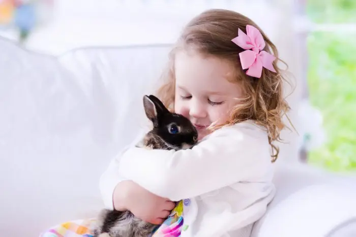 Conejos y niños 