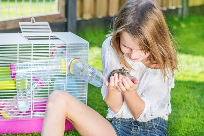 Hámster y niños - Mascotas para niños Hámster y niños