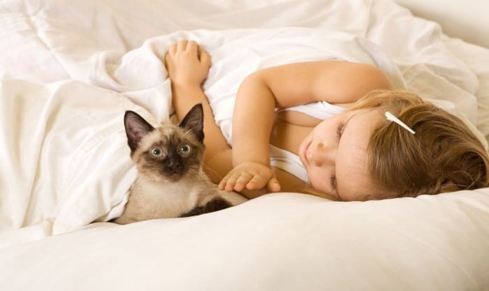 Gatos y niños - Mascotas para niños Gatos y niños