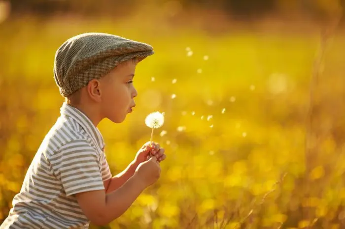 La educación para los niños PAS