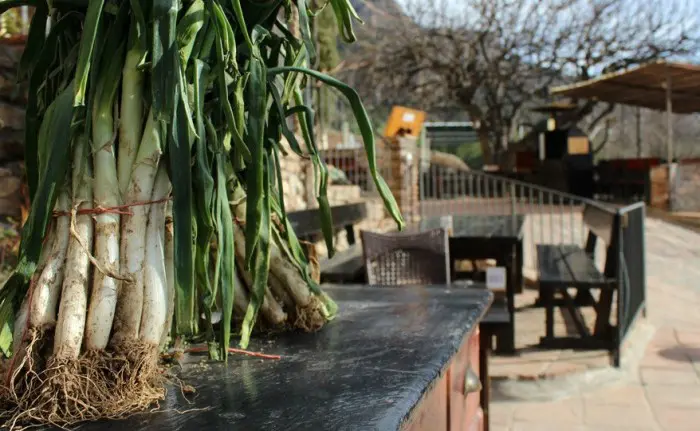 Masías restaurantes para comer calçots