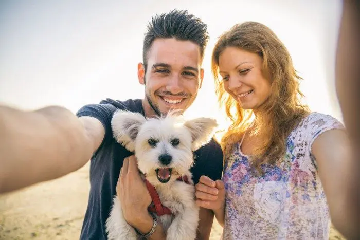 Estás tratando a tu mascota como si fuera un hijo