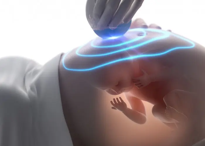 Descubre en este vídeo lo que ocurre en el vientre materno durante el embarazo