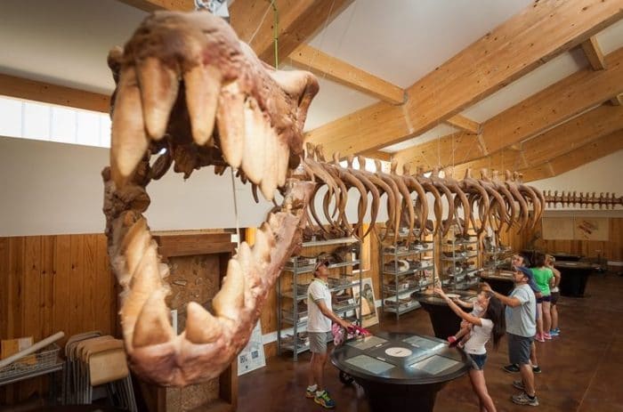 Circuito paleontologico laboratorio en el Barranco Perdido, en La Rioja