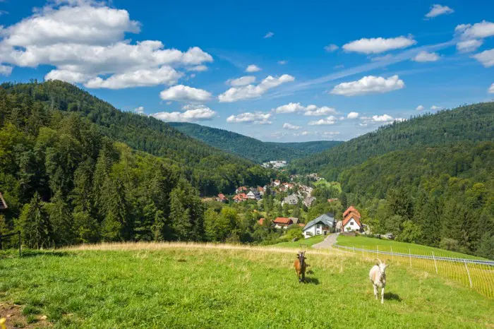 Escapada Selva Negra en Alemania con niños