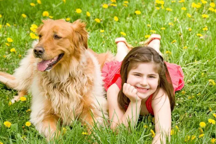¿Cómo pueden ayudar las mascotas a los niños hiperactivos?