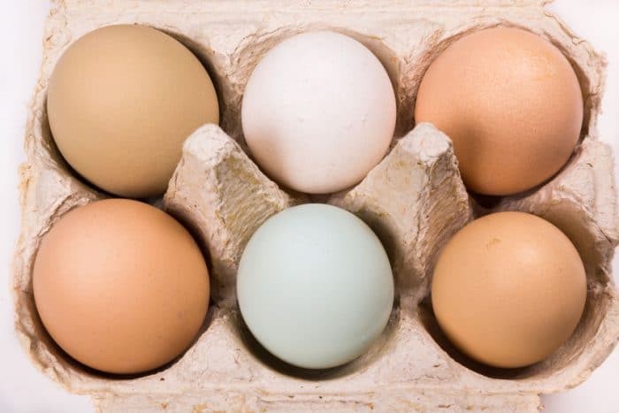 Huevos, alimento para mejorar concentración y memoria infantil