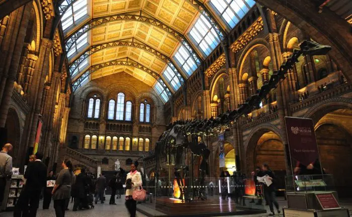 Museo de Historia Natural, en Londres