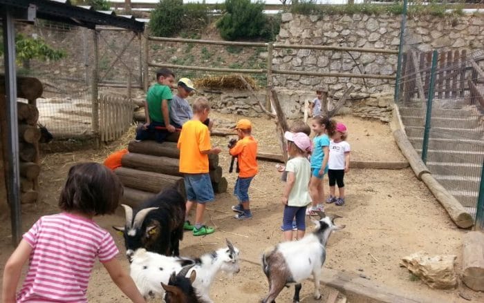 5 con granja Cataluña - Etapa Infantil