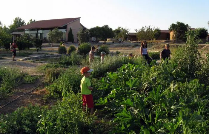 Vinyols Campo, en Vinyols i els Arcs, Tarragona