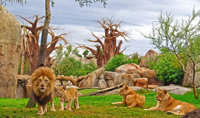 Bioparc Valencia
