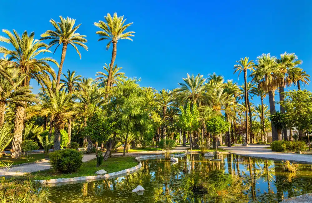 Elche, en Alicante, España