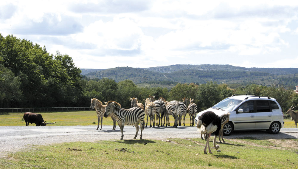 sigean african safari park