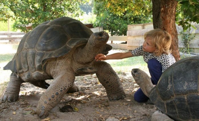 Reserva africana de Sigean con niños