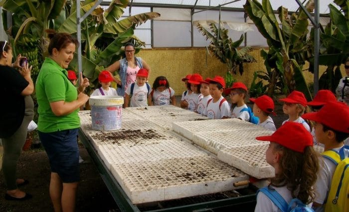 Granja Centro Ecológico Los Olivos, en Islas Canarias