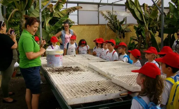 Granja Centro Ecológico Los Olivos, en Islas Canarias