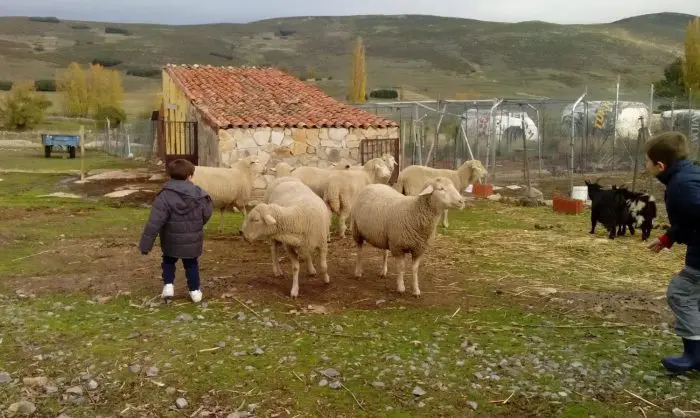 Granja para niños