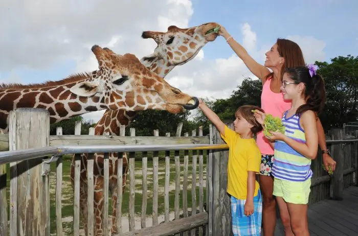 Miami Metro Zoo, en Miami