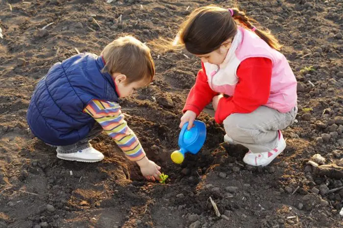 Experiencia niños cultivar