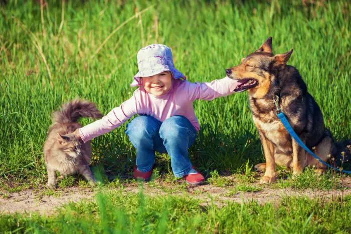 Mascotas para niños con autismo